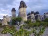Grapevines and Fairy Chimneys, Cappadocia, Turkey
